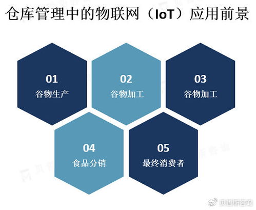 物聯(lián)網(wǎng)技術(shù)驅(qū)動下的現(xiàn)代倉庫管理 市場概覽與網(wǎng)絡技術(shù)咨詢服務